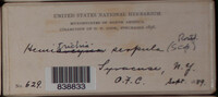 Image Associated With the Occurence